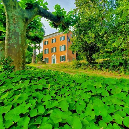 Villa De Benedetti Сарцана Екстериор снимка