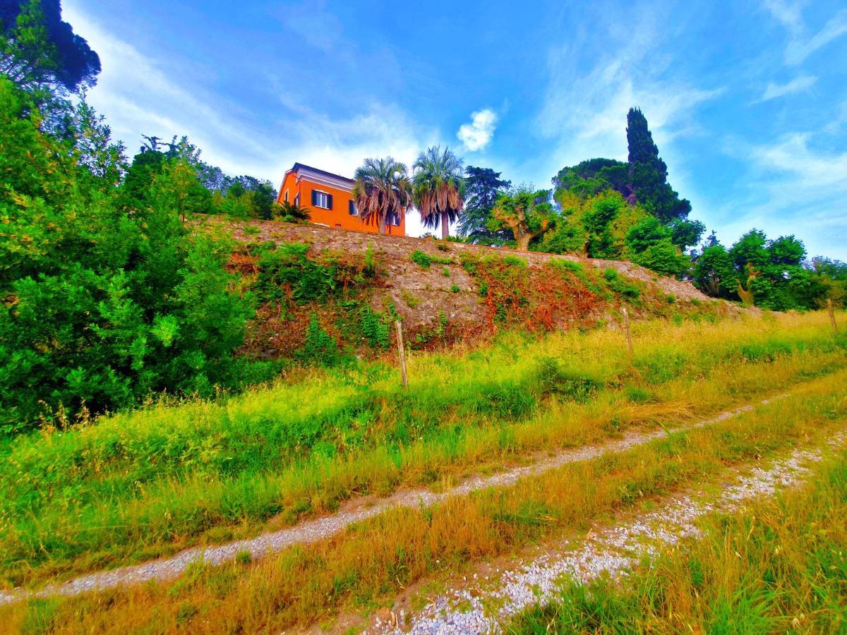 Villa De Benedetti Сарцана Екстериор снимка