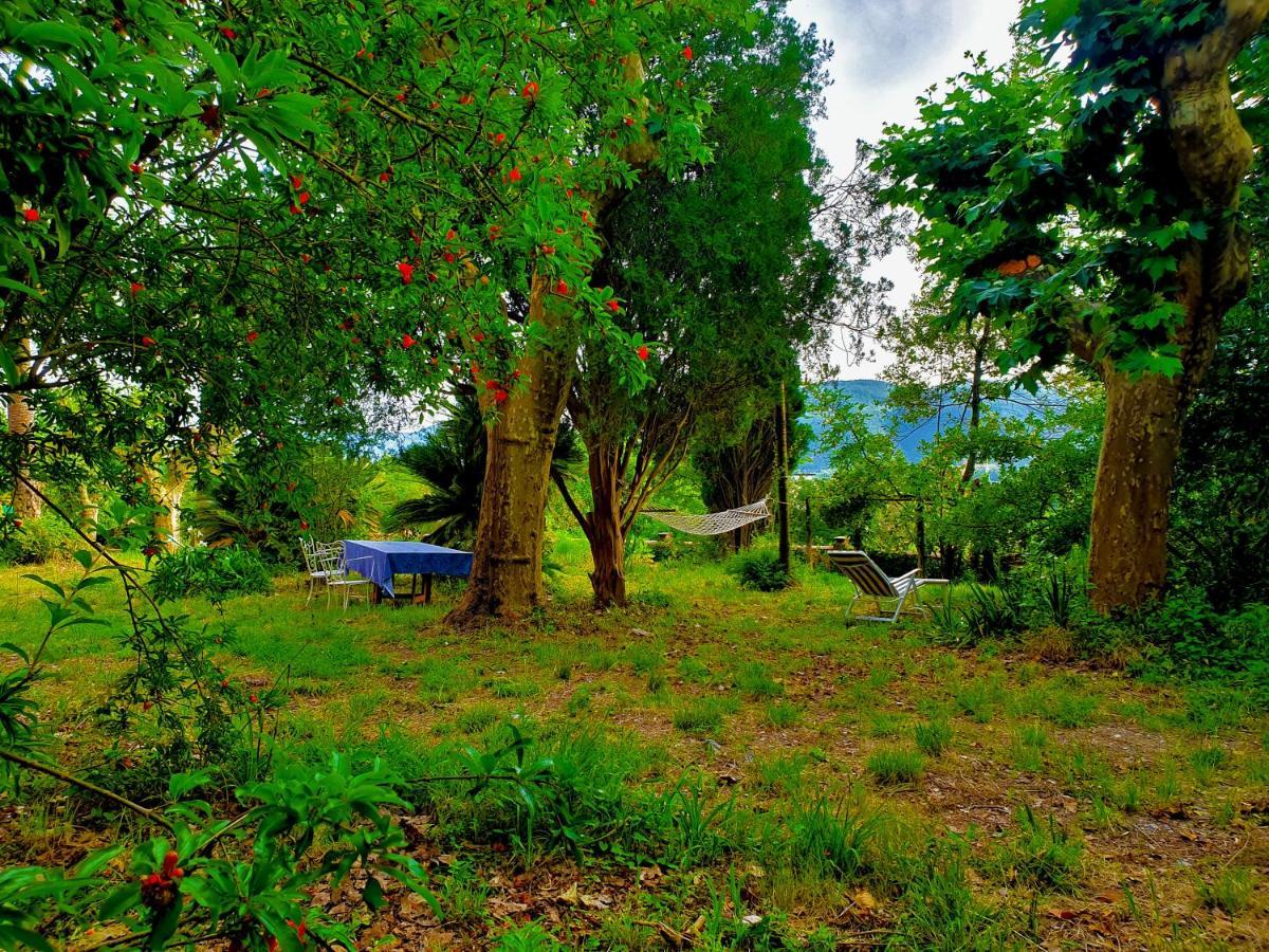 Villa De Benedetti Сарцана Екстериор снимка