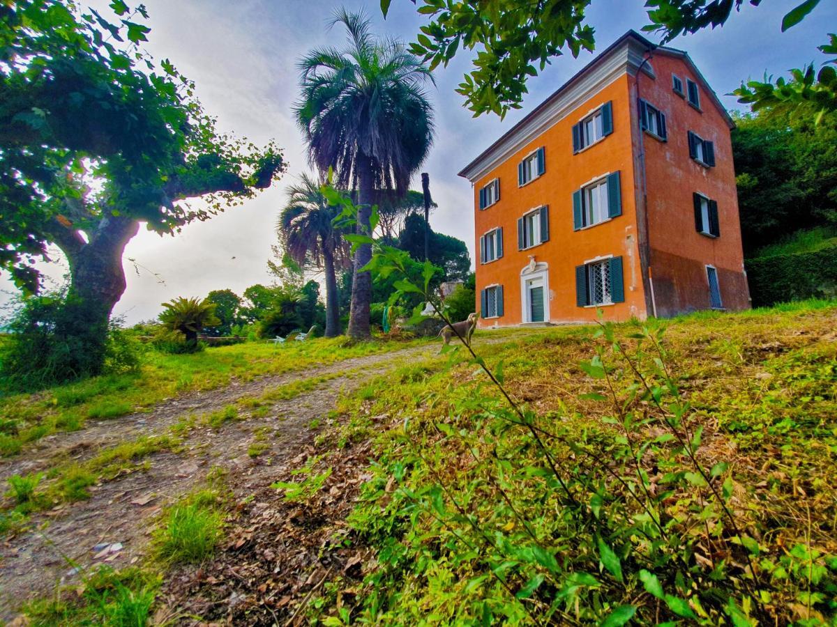 Villa De Benedetti Сарцана Екстериор снимка